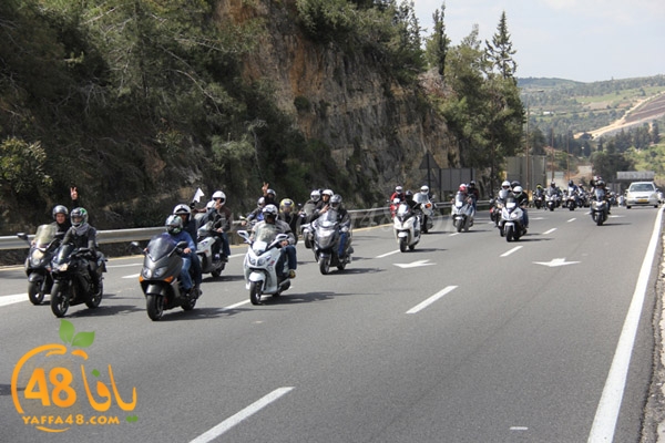 masira3j hasdj3 (75).JPG